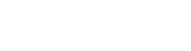 light logo